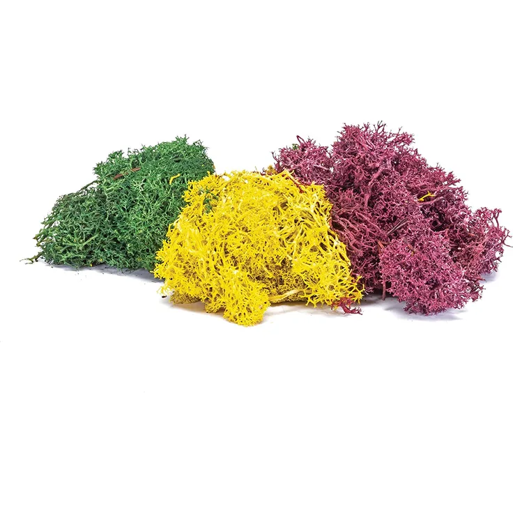Humbrol R7196 Skale Scenics Lichen - Autumn Mix