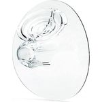 Elvie Brustmuschel 21 mm 2 Stück Transparent - Preisvergleich