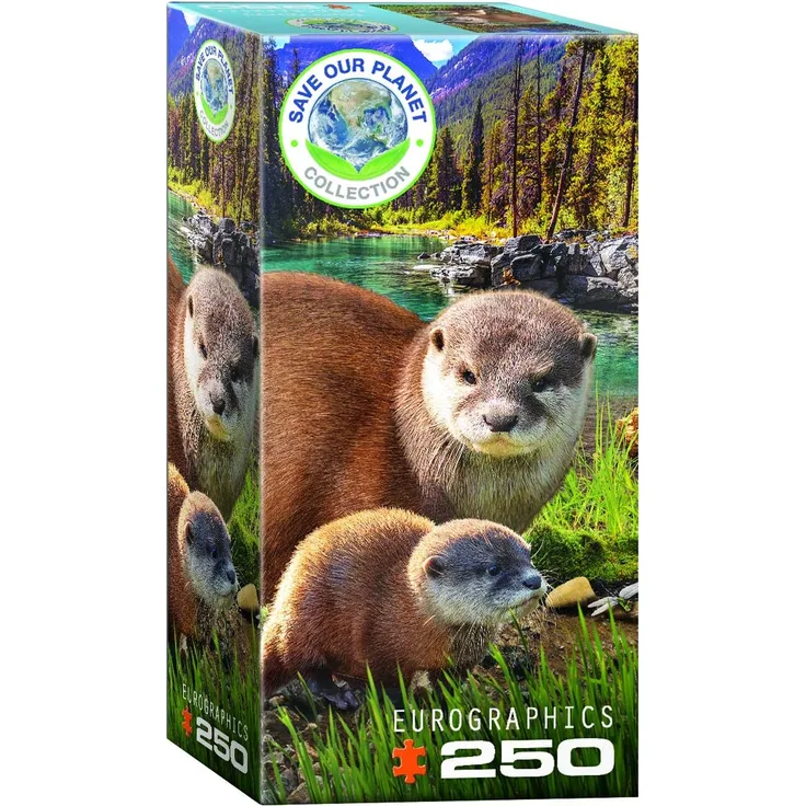 Eurographics 8251-5558 - Otter , Puzzle, 250 Teile