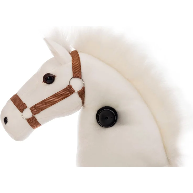 Reitpferd "Schimmel" – Bild 4
