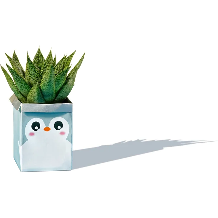 Ravensburger Kinder Bastelset EcoCreate Decorate your Room – Bild 13