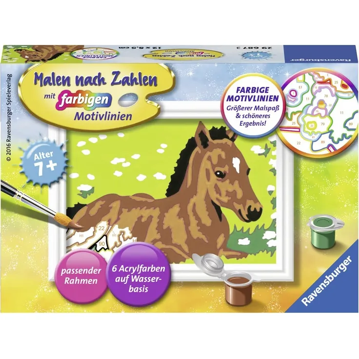 Malen nach Zahlen Kleines Fohlen