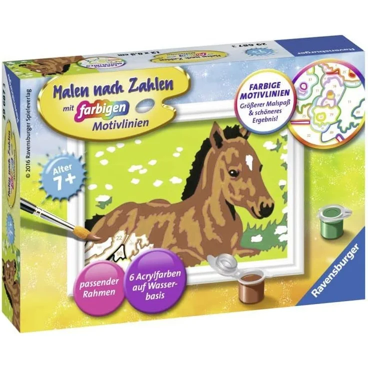 Malen nach Zahlen Kleines Fohlen – Bild 5