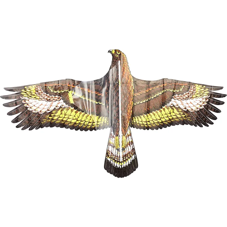 Paul Günther 1146 - Kinderdrachen mit Steinadler Motiv, Einleinerdrachen aus robuster PE-Folie für Kinder ab 4 Jahre mit Wickelgriff und Schnur, ca. 122 x 68 cm groß