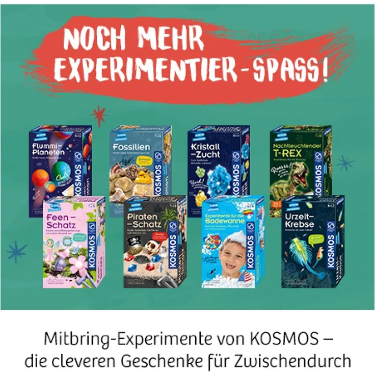 Kosmos Mitbringexperimentierkasten Ausgrabungs-Set Ritter-Schatz – Bild 7