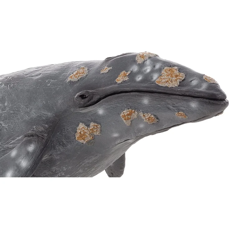 MOJO 387280 - Animal Planet - Grauwal – Bild 2