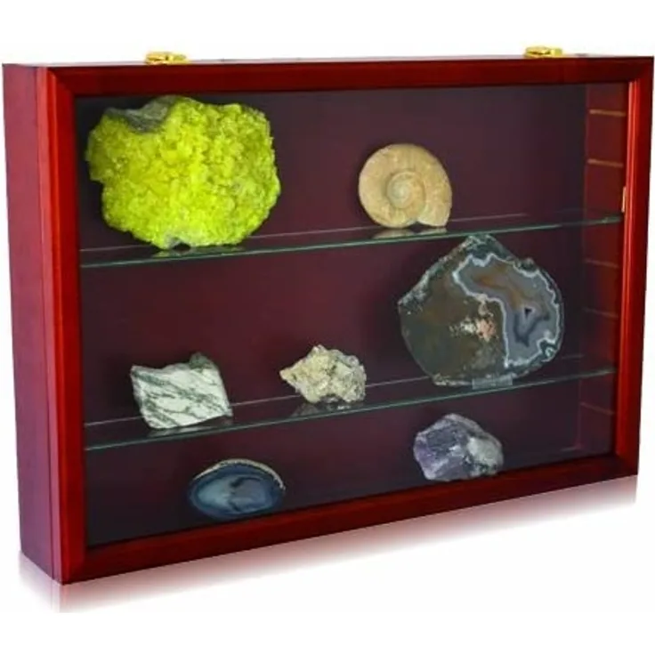 Präsentations-Vitrine Holz Luxus