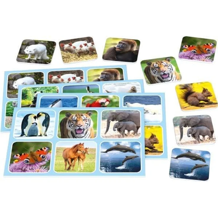 Schmidt Spiele - Zoo Lotto – Bild 5