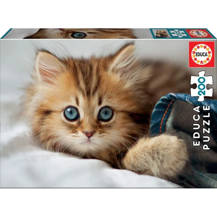 Kitten 200 Teile