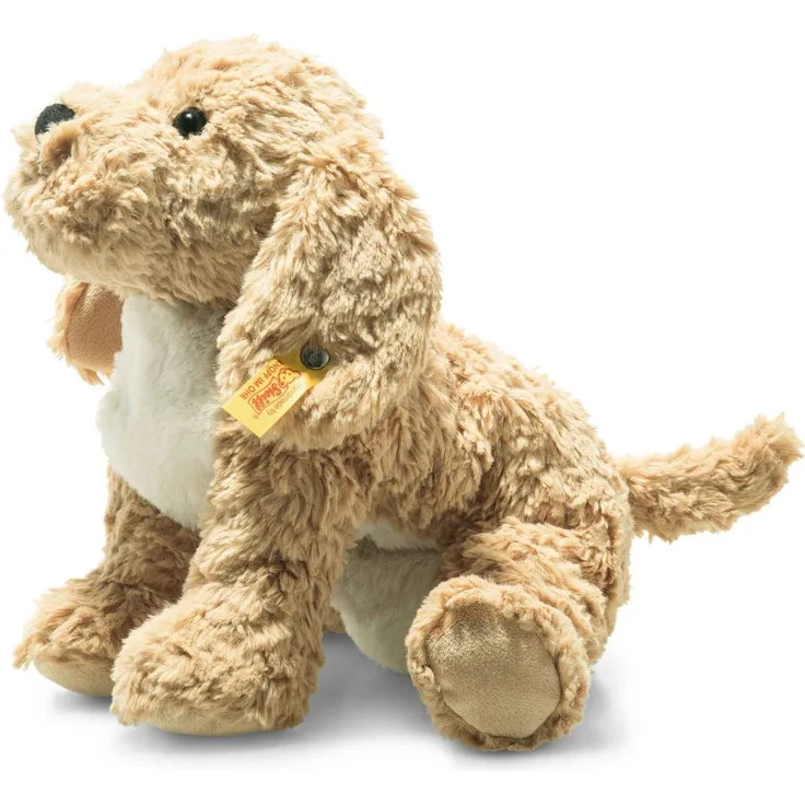 Berno Goldendoodle 26 beige l