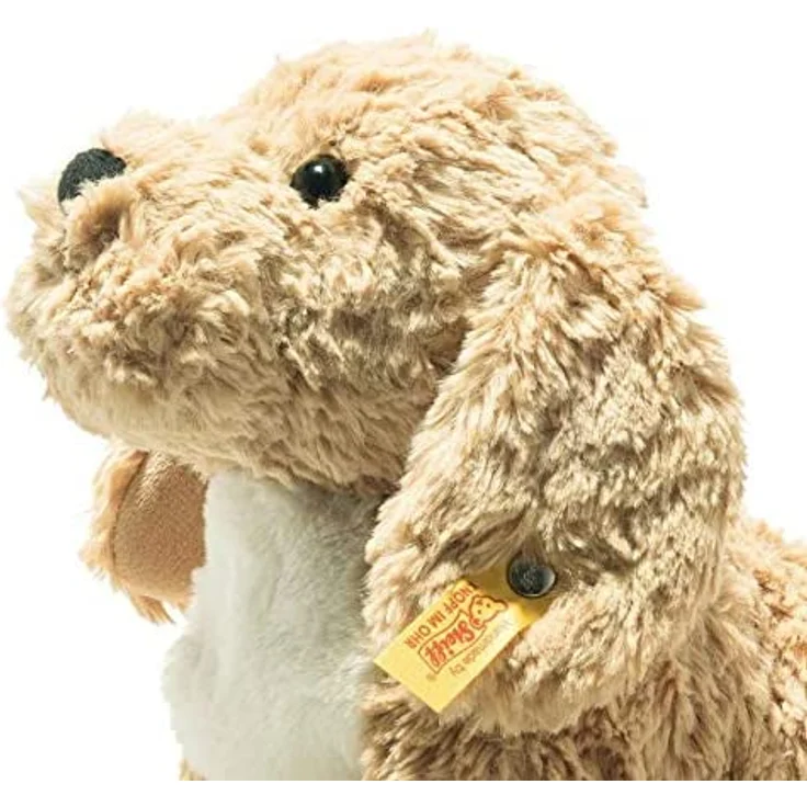 Berno Goldendoodle 26 beige l – Bild 2