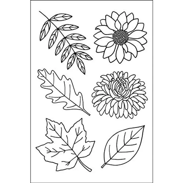 Efco Stempel Clear Herbstpflanzen, transparent, A7/ 74 x 105 mm, 6-teilig