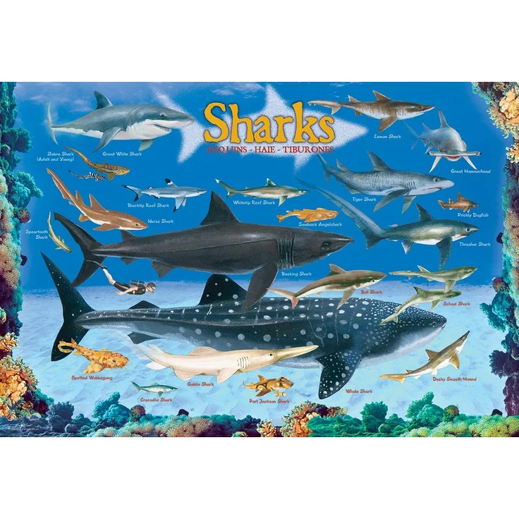Sharks 100 Pieces Eurographics Kids 5+ - Preisvergleich – Bild 2