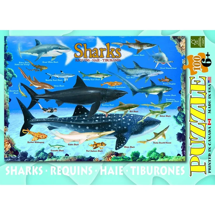 Sharks 100 Pieces Eurographics Kids 5+ - Preisvergleich – Bild 4