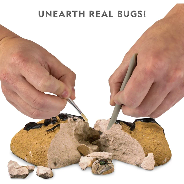 Bandai – NGBUG National Geographic – Ausgrabungsset – 3 Insekten zum Ausgraben – Skorpion, Käfer, Stachelspinne – Bildungs- und Wissenschaftsspiel – STEM – JM00645 – Bild 2