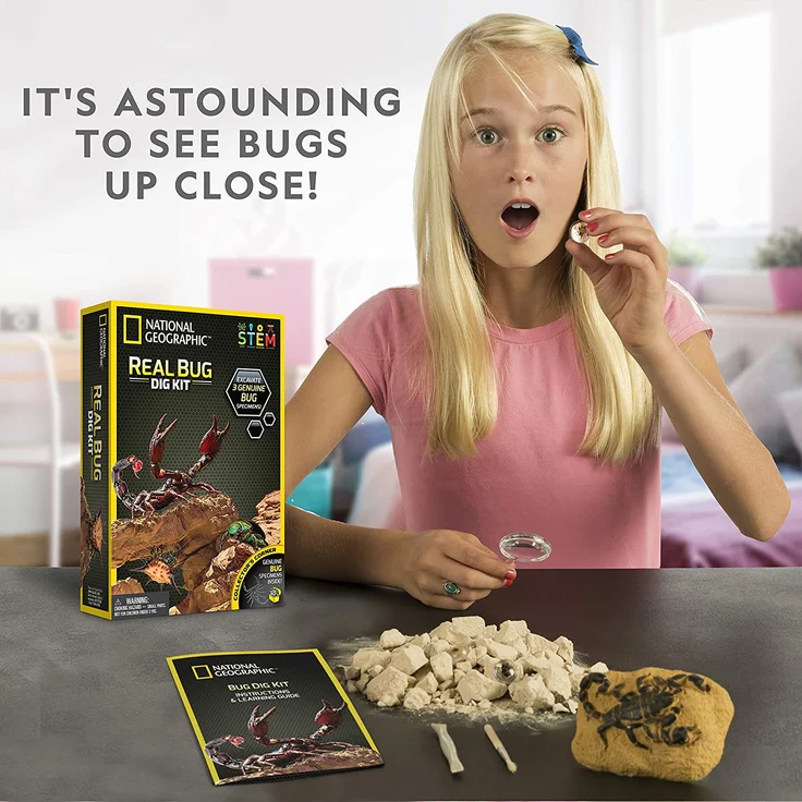 Bandai – NGBUG National Geographic – Ausgrabungsset – 3 Insekten zum Ausgraben – Skorpion, Käfer, Stachelspinne – Bildungs- und Wissenschaftsspiel – STEM – JM00645 – Bild 5