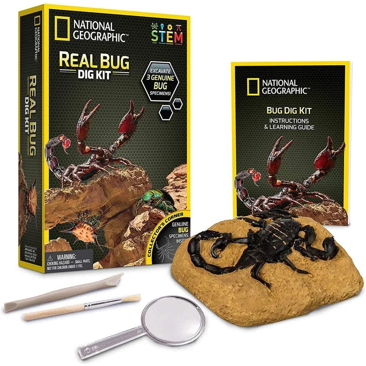 Bandai – NGBUG National Geographic – Ausgrabungsset – 3 Insekten zum Ausgraben – Skorpion, Käfer, Stachelspinne – Bildungs- und Wissenschaftsspiel – STEM – JM00645 – Bild 1