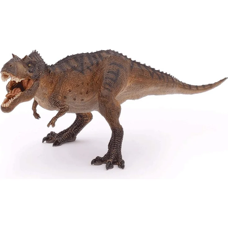 Gorgosaurus – Bild 4