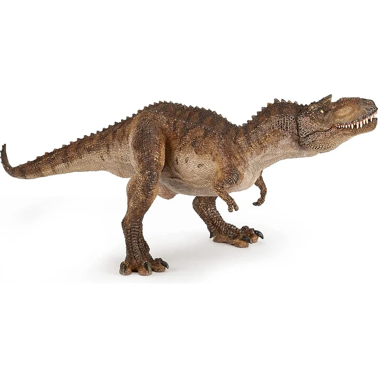 Gorgosaurus – Bild 7