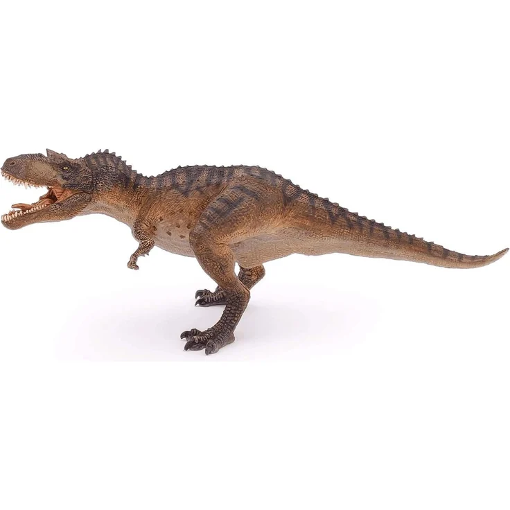 Gorgosaurus – Bild 2