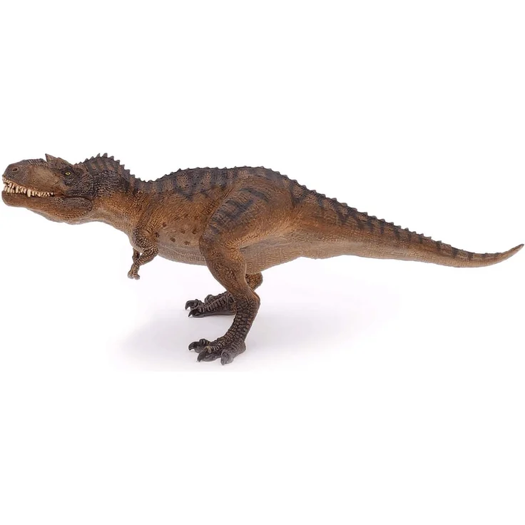 Gorgosaurus – Bild 3