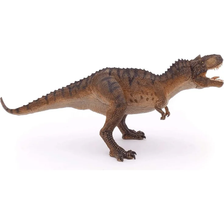 Gorgosaurus – Bild 6