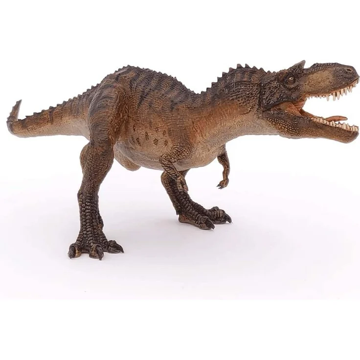 Gorgosaurus – Bild 5