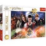 Trefl, Puzzle, Der geheimnisvolle Harry Potter, 300 Teile, für Kinder ab 8 Jahren - Preisvergleich