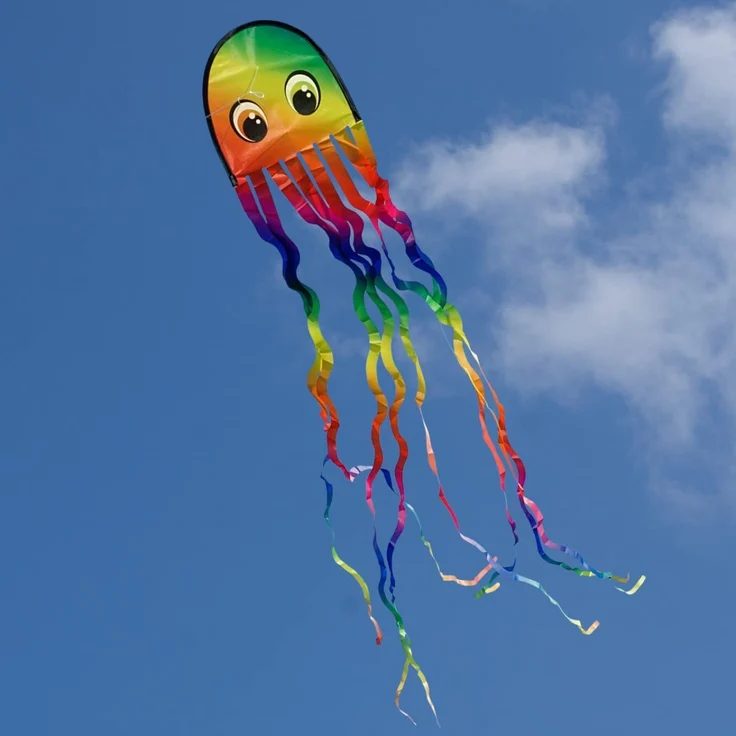 CiM Drachen Draki Rainbow – Bild 2