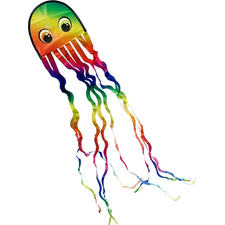 CiM Drachen Draki Rainbow