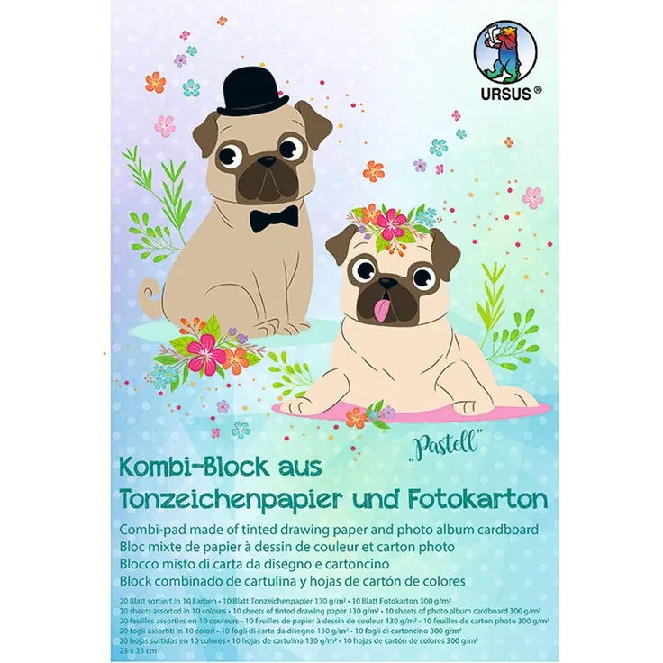 Ursus 7760099 Kombi Block 23 x 33 cm, je Blatt Tonzeichenpapier und Fotokarton in 10 verschiedenen Pastellfarben, geeignet für viele Bastelarbeiten, Pastell
