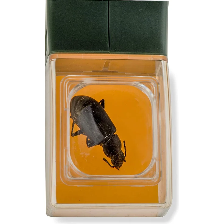 Carson HU-10 BugView Lebend Insektenfänger, Forscherlupe, ideal für Kinder, Haushalt, Camping, Natur, Outdoor – Bild 4