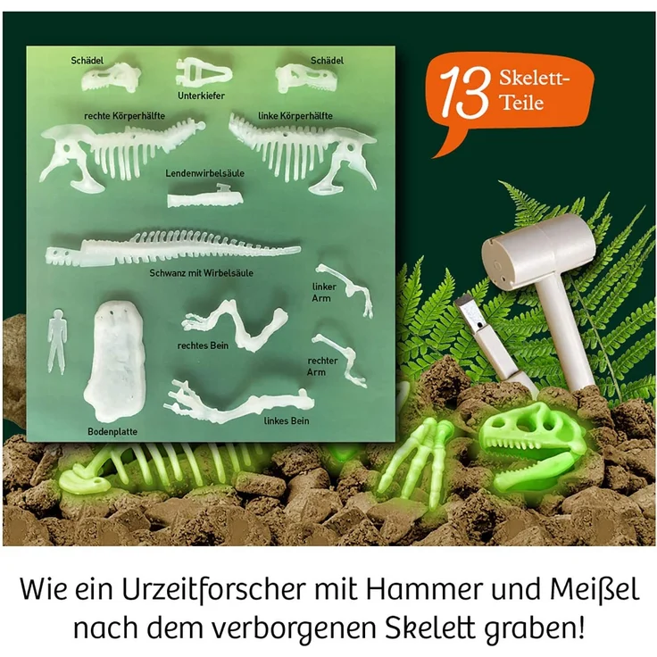 Kosmos Mitbring-Experimentierkasten Nachtleuchtender T-Rex – Bild 4