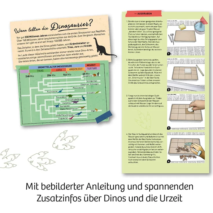 Kosmos Mitbring-Experimentierkasten Nachtleuchtender T-Rex – Bild 5