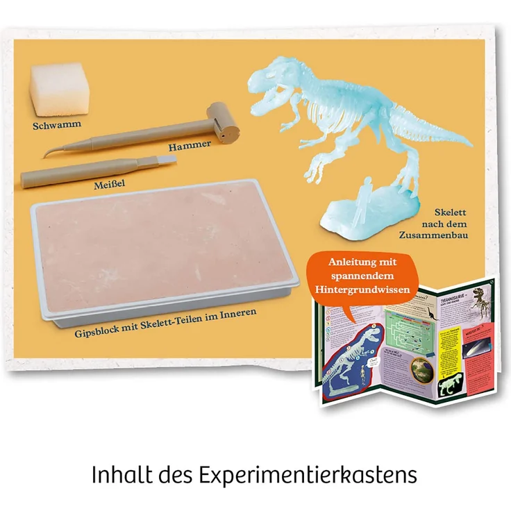 Kosmos Mitbring-Experimentierkasten Nachtleuchtender T-Rex – Bild 3