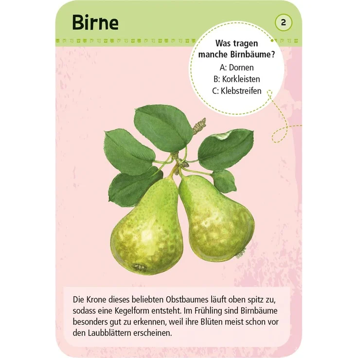 Moses Expedition Natur 50 heimische Garten-& Feldpflanzen – Bild 2