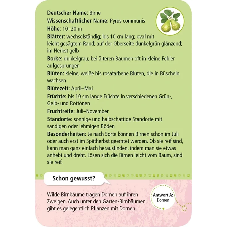 Moses Expedition Natur 50 heimische Garten-& Feldpflanzen – Bild 3
