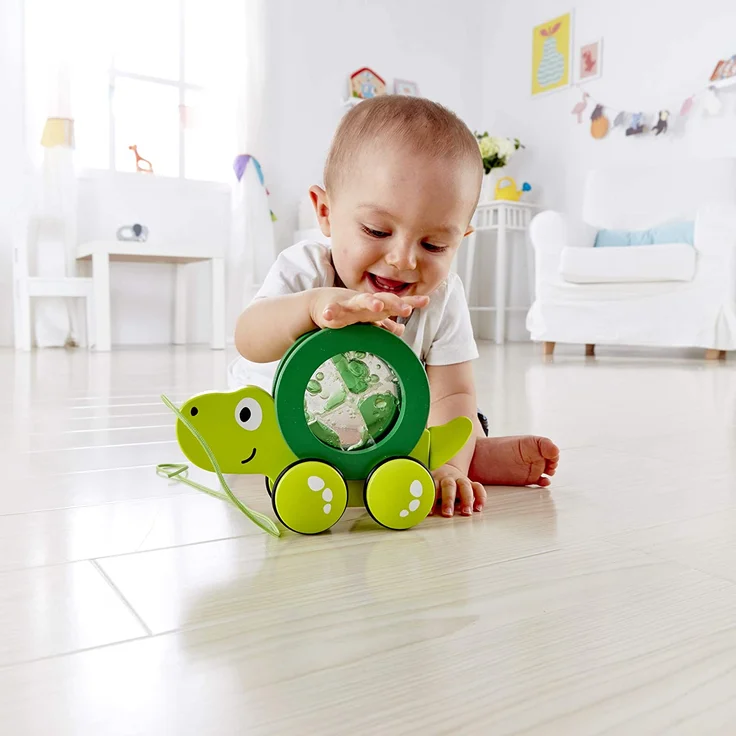 Hape E0354 Nachziehschildkröte Tito Spielzeug – Bild 3
