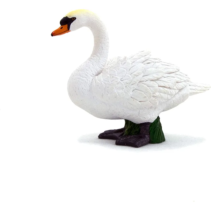 Animal Planet Höckerschwan