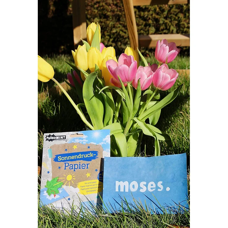 moses. PhänoMINT Sonnendruck-Papier, Experimentierspielzeug für Kinder, Bastelpapier zum Beobachten wissenschaftlicher Phänomene, 10 Papierblätter zum Drucken verschiedener Objekte – Bild 5