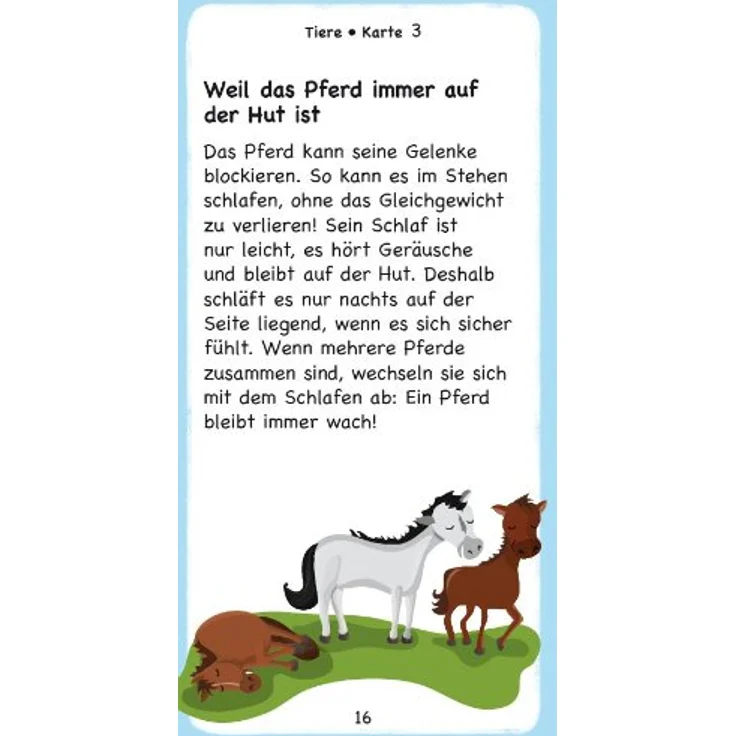 moses. Das Warum-Quiz | Kinderquiz | Für Kinder ab 6 Jahren – Bild 4
