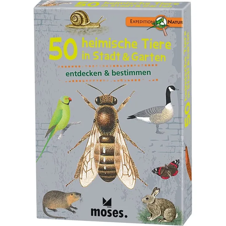 moses. Expedition Natur - 50 heimische Tiere in Stadt und Garten | Bestimmungskarten im Set | Mit spannenden Quizfragen