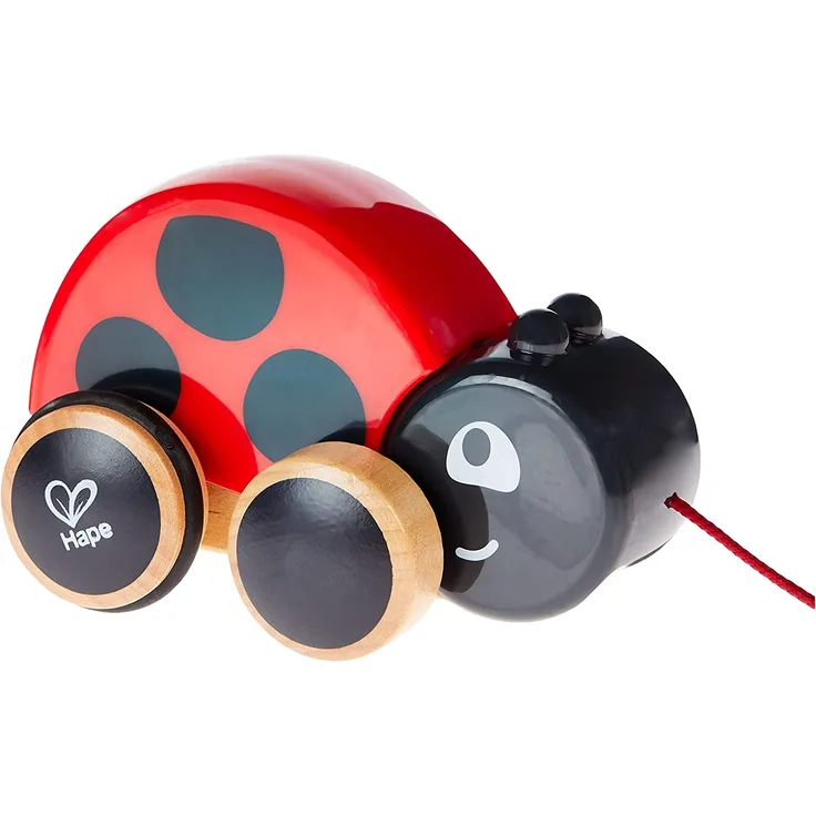 Hape E0362 Nachziehkäfer Marie, Mehrfarbig