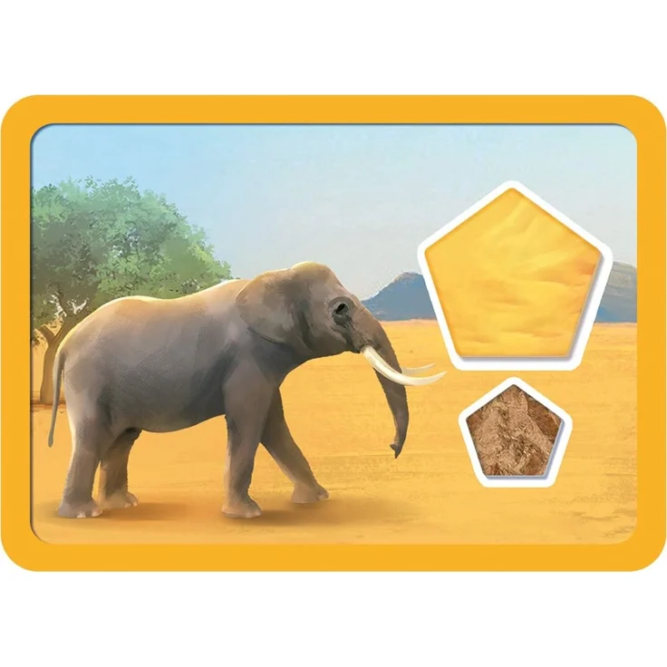 Asmodee BLOD0016 - Blue Orange, PLANET - Familienspiel – Bild 13