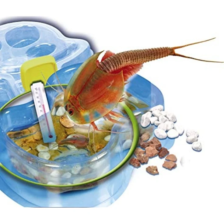 GALILEO Triops - Nachfüllpack neu – Bild 4