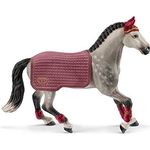 Trakehner Stute Reittu