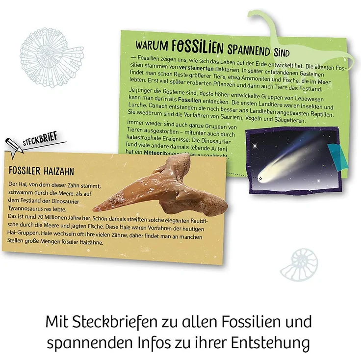 Kosmos Mitbring-Experimentierkasten Fossilien – Bild 5