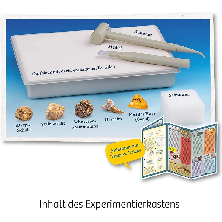 Kosmos Mitbring-Experimentierkasten Fossilien – Bild 3