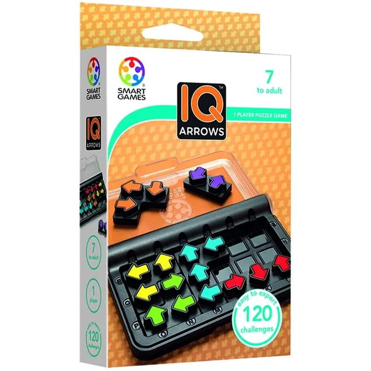 Smart Toys 'IQ Arrows'