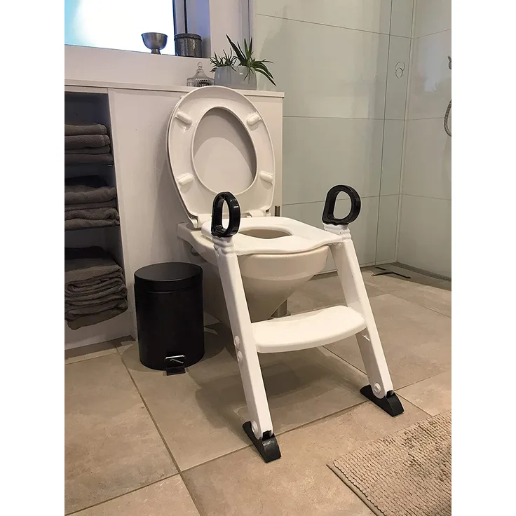 BabyDan Toilet Trainer with Step